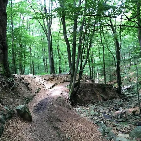 Charming, Very Well Kept Holiday House