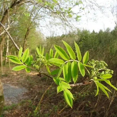 Charming, Very Well Kept Holiday House Ferienhaus *