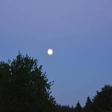 Dom wakacyjny Charming Very Well Kept House *