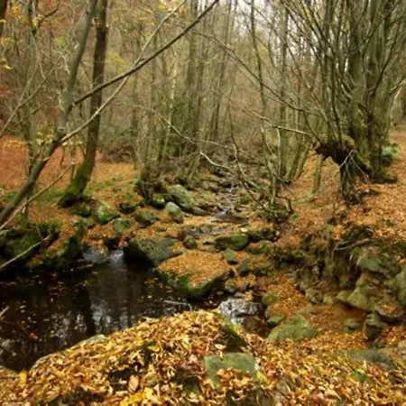 Ferienhaus Charming, Very Well Kept Holiday House *