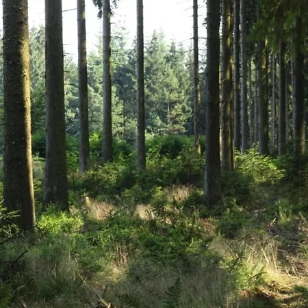 Charming, Very Well Kept Holiday House Exbomont