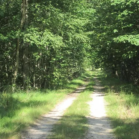 Dom wakacyjny Charming Very Well Kept House