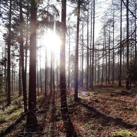 Ferienhaus Charming, Very Well Kept Holiday House *